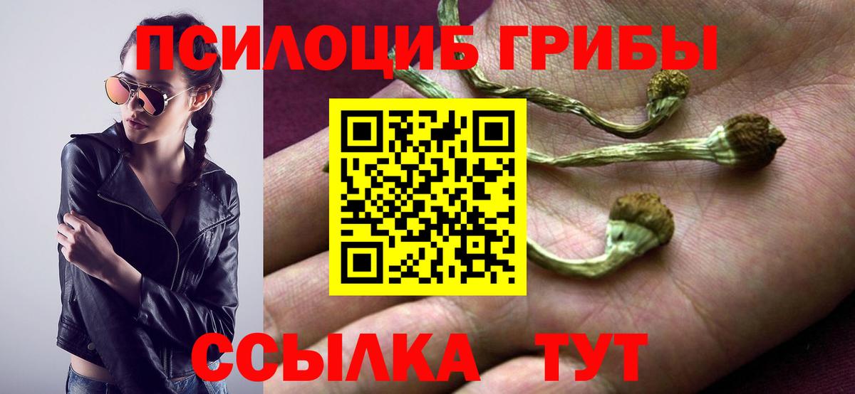 Галлюциногенные грибы Psilocybine cubensis  Вход с VPN  Горячий Ключ 